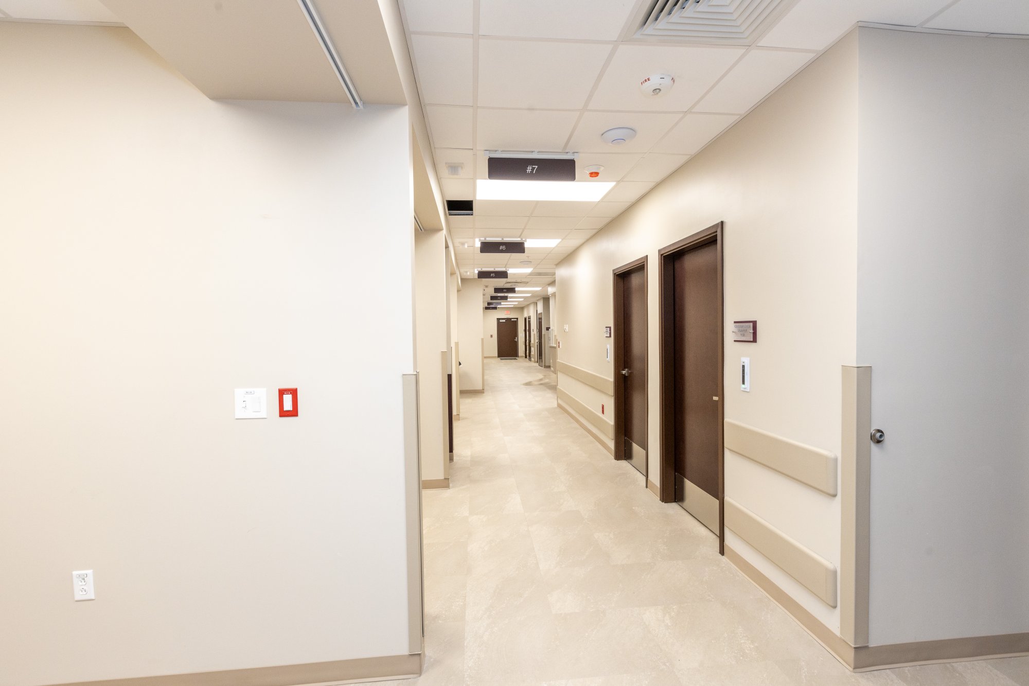 Vascardio 10